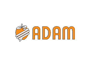 Adam